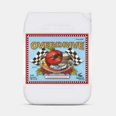 Overdrive formato grande