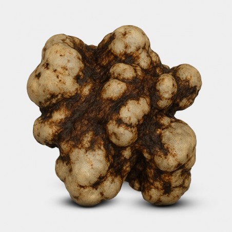 Trufas Galindoi trufa detalle