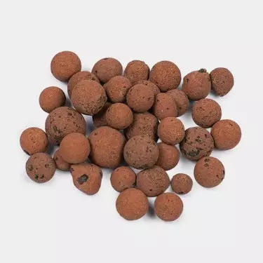 ▷✅ Bolas de argila expandidas - GB The Green Brand