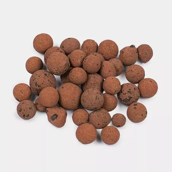 ▷✅ Bolas de argila expandidas - GB The Green Brand