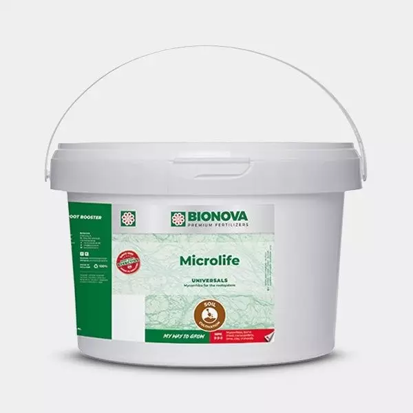 Microlife