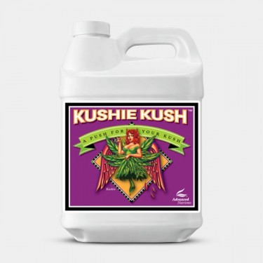 Kushie Kush formato grande