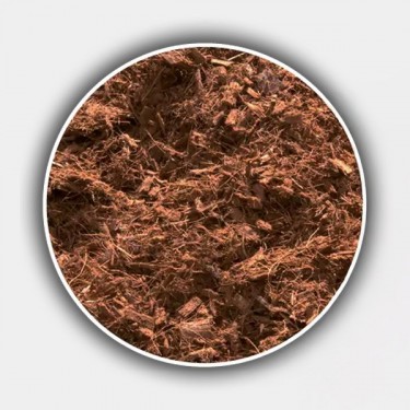 Coco Atami detalle coco