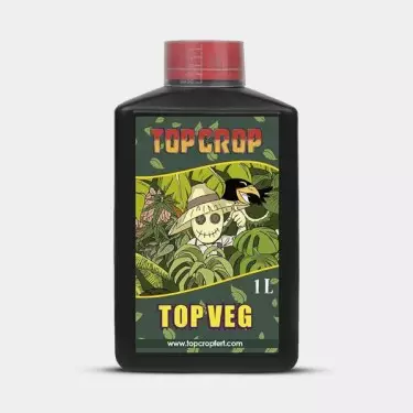 Kit básico Top Crop top veg 1l