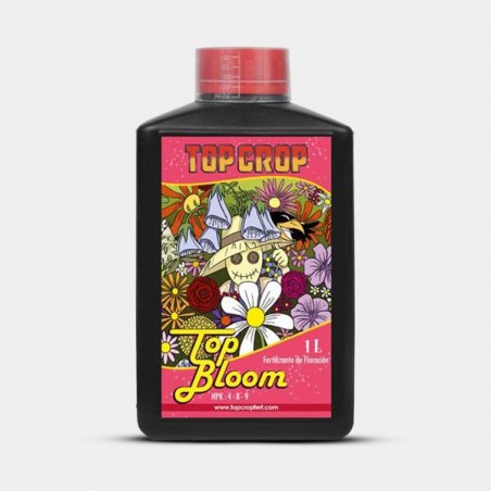 Kit básico Top Crop top bloom 1l