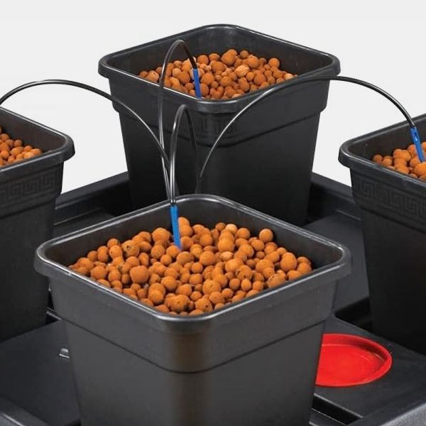 Wilma Large 4 completo 11L detalle