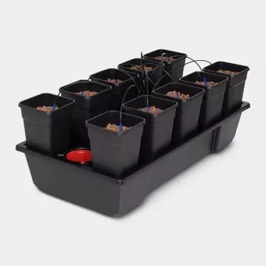 Wilma Small Wide 10 complete 6 L by Atami -GB