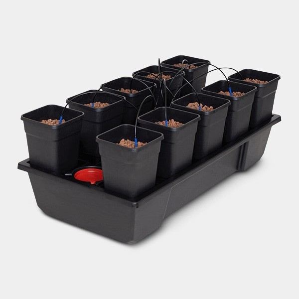 Wilma Small Wide 10 completo 6,5L