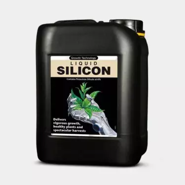 Liquid Silicon formato grande