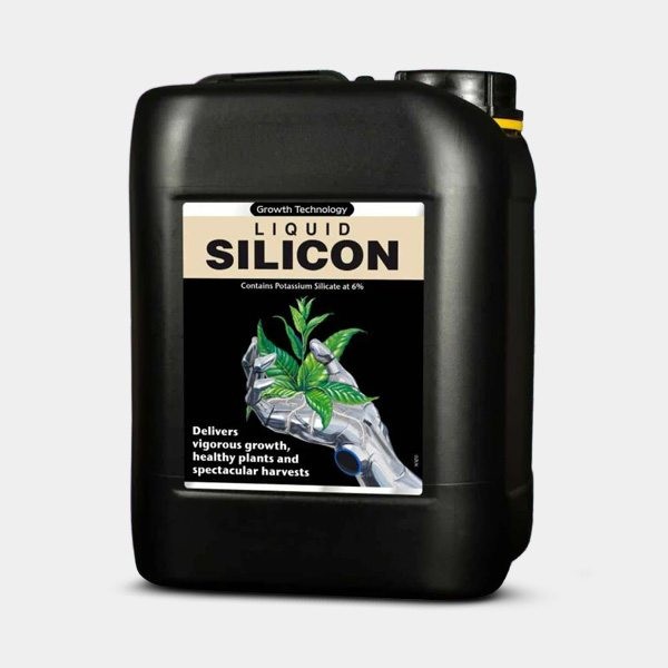 Liquid Silicon formato grande
