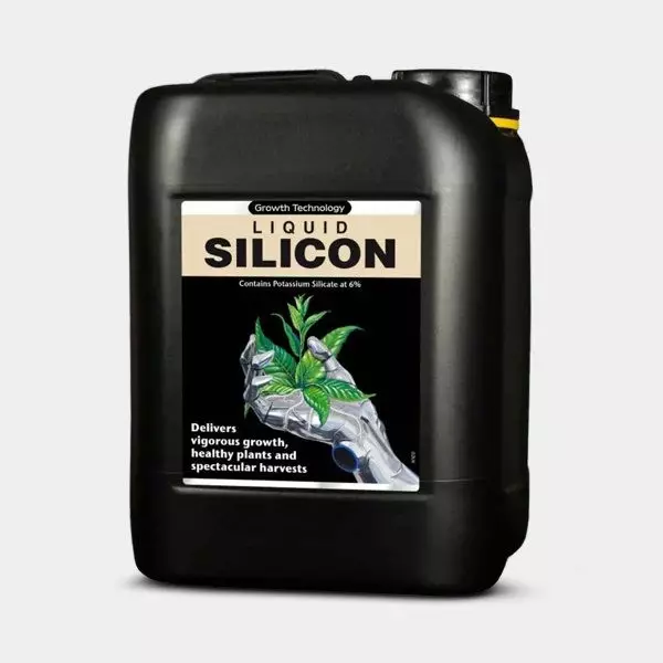 Liquid Silicon formato grande