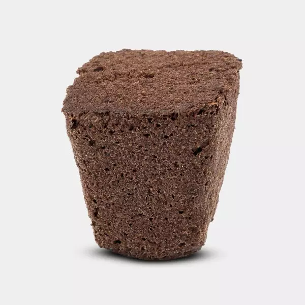 Root Riot Clonex Starter Plugs - GB