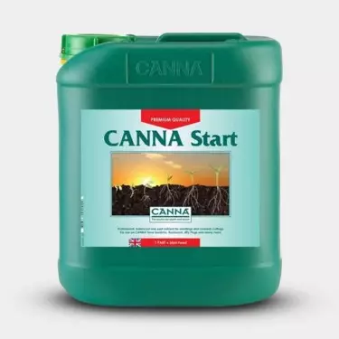 Canna Start formato grande