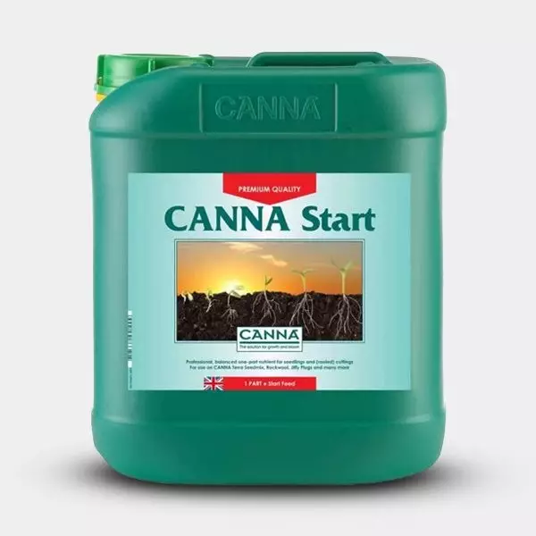 Canna Start formato grande
