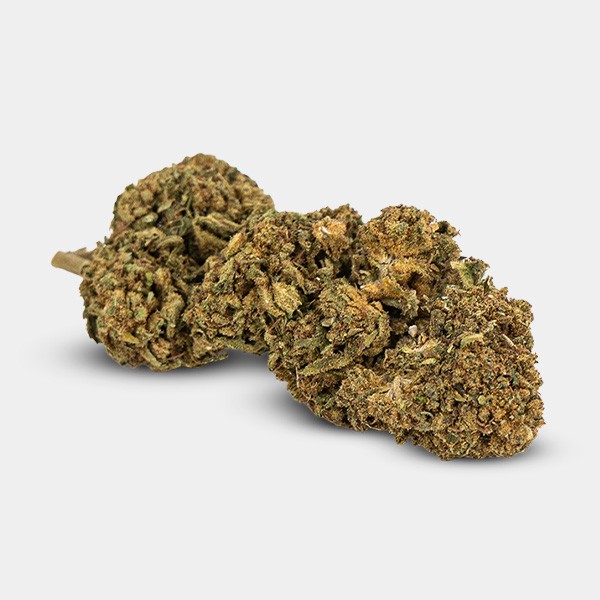 Flores CBD GB Outdoor Blue Cheese - GB The Green Brand
