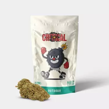 Flores CBD GB Outdoor Critical + - GB The Green Brand