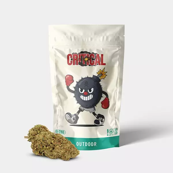 Flores CBD GB Outdoor Critical + - GB The Green Brand