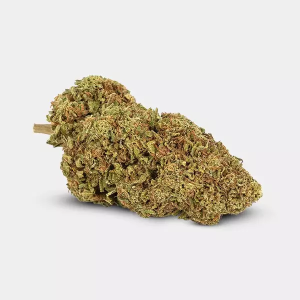 Flores CBD GB Outdoor Critical + - GB The Green Brand