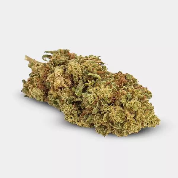 Flores CBD GB Outdoor Amnesia - GB The Green Brand