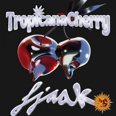 Tropicana Cherry diseño