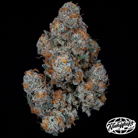 Dulce de Gas 3
