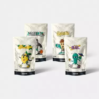 Kit Sommelier Indoor