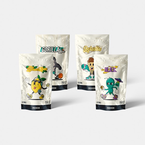 Kit Sommelier Indoor