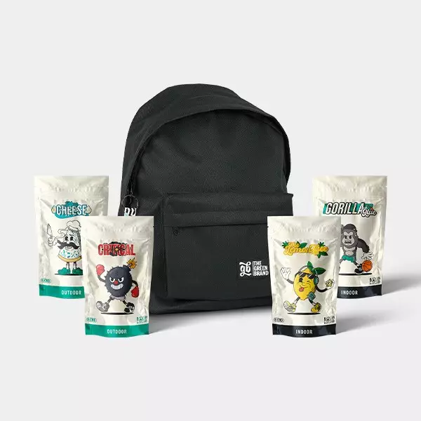 GB CBD Kit 100g - GB The Green Brand