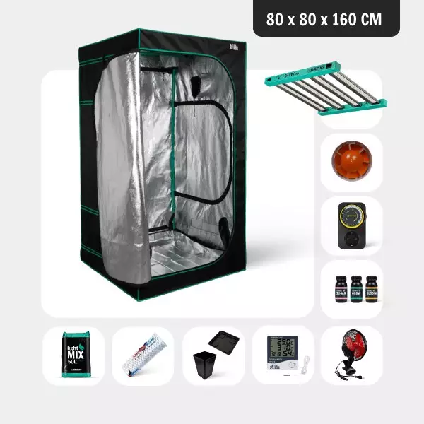 Kit Completo Iniciante 80x80 - GB The Green Brand