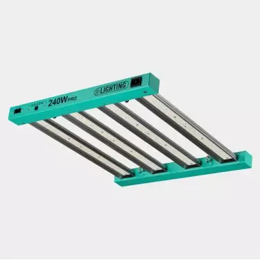 80x80 Complete Beginner Kit - GB The Green Brand