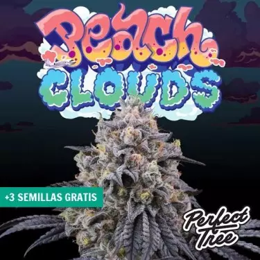 Peach Clouds