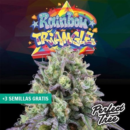 Rainbow Triangle