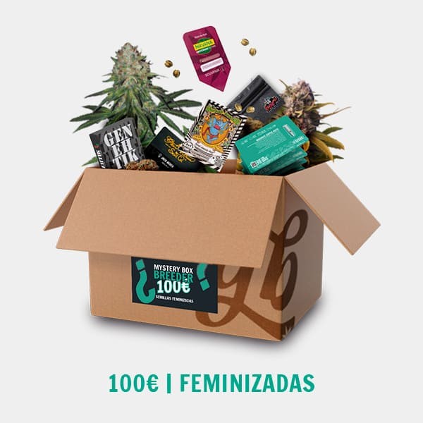 View Breeder Mystery Box FEM