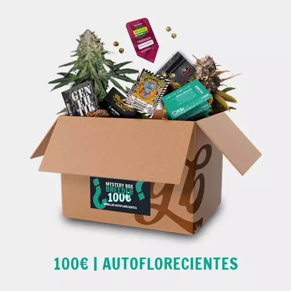 View Breeder Mystery Box AUTO