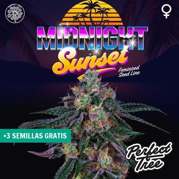 View Midnight Sunset