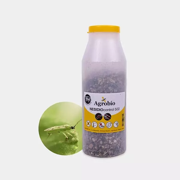 Nesidio Control Mosca blanca