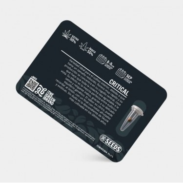 Kit de cultivo interior de 600W sin armario