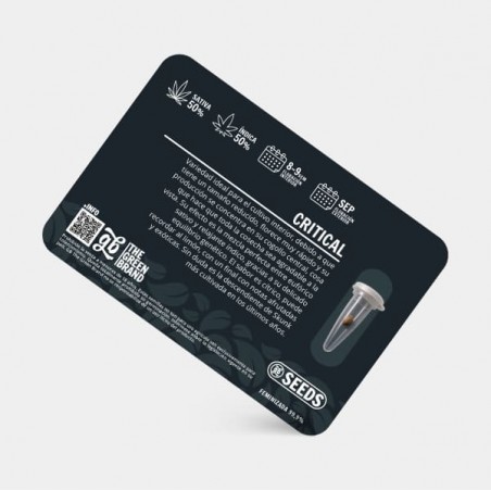 Kit de cultivo interior de 600W sin armario