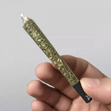 Lion Rolling Circus 4:20 papel transparente - GB The Green Brand