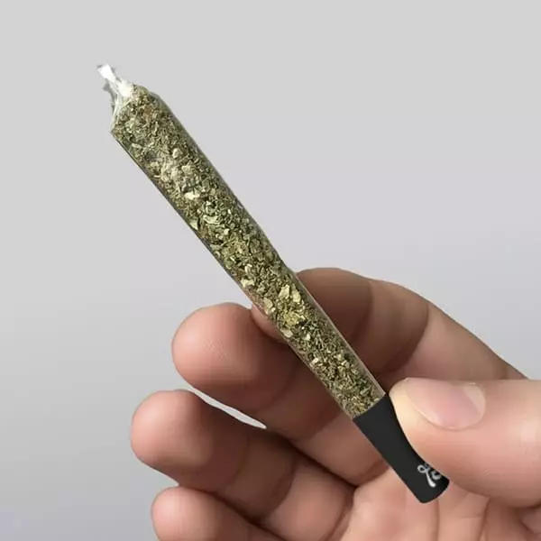 Transparent King Sized Papers 40pcs - GB