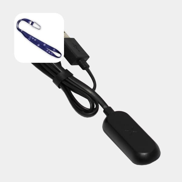 elf bar vape uk Shop Pax 2 and Pax 3 Mini Chargers Online – Got Vape