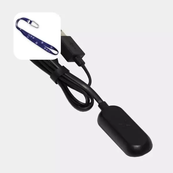 PAX Mini Portable Charger by PAX Labs - GB