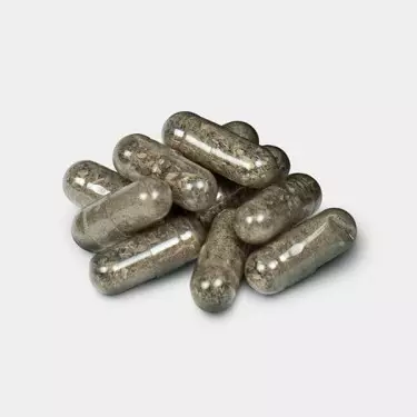 Psilocybe Mushrooms Microdosing Capsules - GB The Green Brand