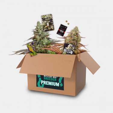 Breeder Box Premium