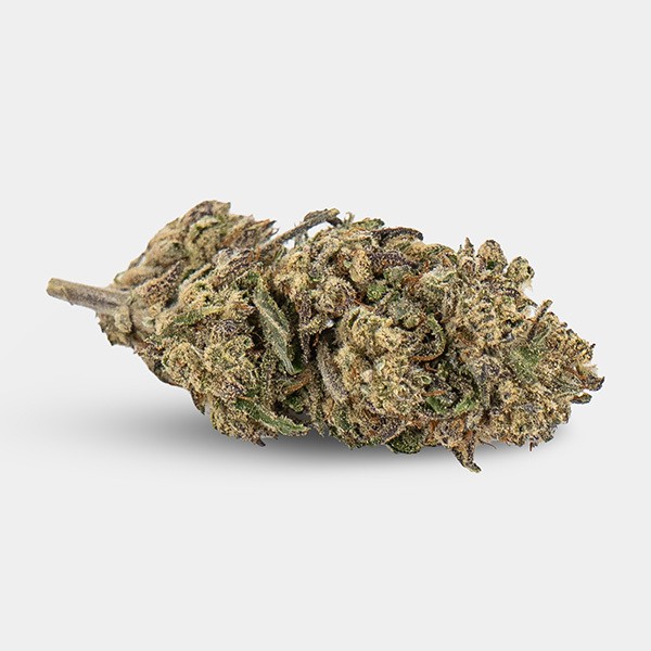 Flores CBD KEMA 'Plutonium'