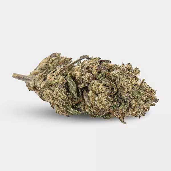 Flores CBD KEMA 'Plutonium'