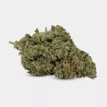 Flores CBD GB Outdoor 'OG Kush'