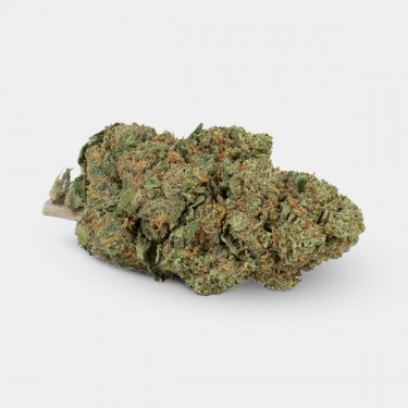 Flores CBD GB Outdoor 'Moby Dick'