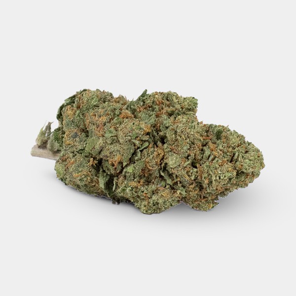 Flores CBD GB Outdoor 'Moby Dick'