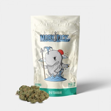 Outdoor GB CBD 'Moby Dick'...